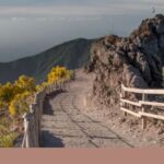 Escursione sul Vesuvio